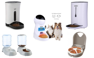 How to Choose The Best Automatic Feeder For Multiple Cats