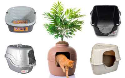 Choosing the Best Cat Litter Boxes for Small Spaces/Multiple Cats