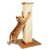 SmartCat Scratching Post