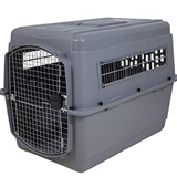 best dog crate for car travel