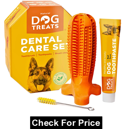 Natural Dog Treats Toothbrush Stick and Toothpaste Beef Flavor Dental Care Cleaning Set, 100% Natural Rubber Chew Toy for Dogs