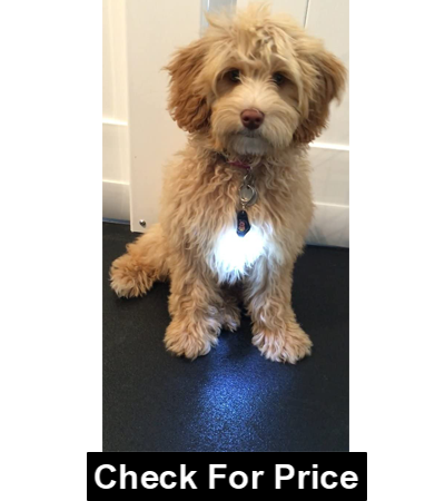 Dog Light, Dog Collar Light, For Dog Walks & Backyard Monitoring