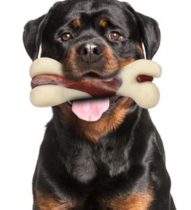 Dog Chew Toys for Aggressive Chewer Deal