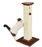 Amazon Basics Cat Scratching Post