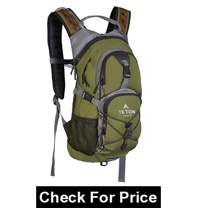 TETON Sports Oasis 18L Hydration Pack