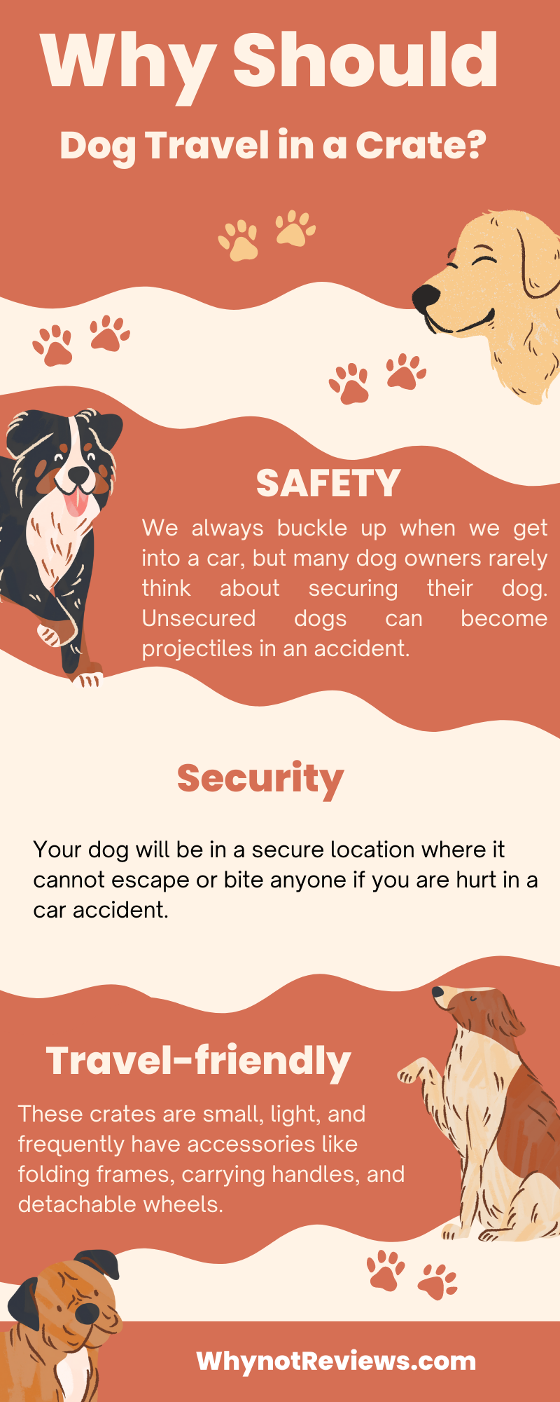 Why-Should-Dogs-Travel-in-a-Crate